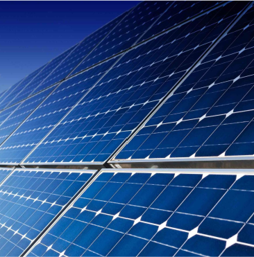 Excepteur sint occaecat cupidatat non proident, sunt in culpa qui officia